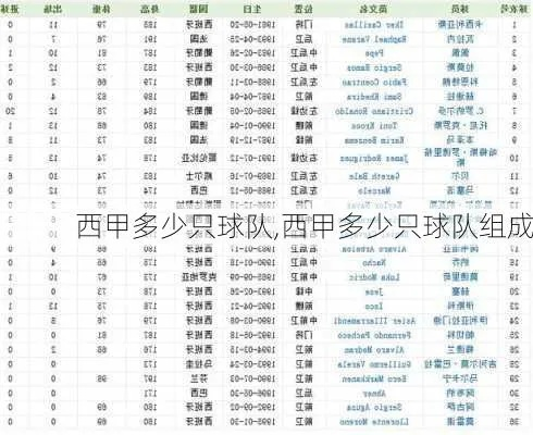 西甲有多少支球队 西甲联赛球队总数-第2张图片-www.211178.com_果博福布斯